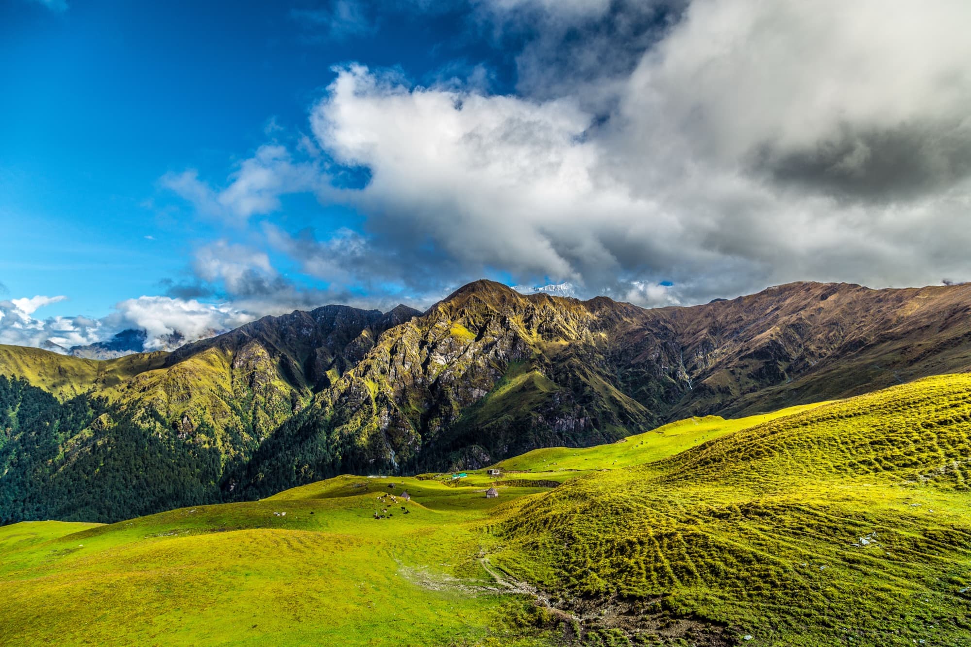 The green slopes of Bedni Bugyal below a rugged ridge
