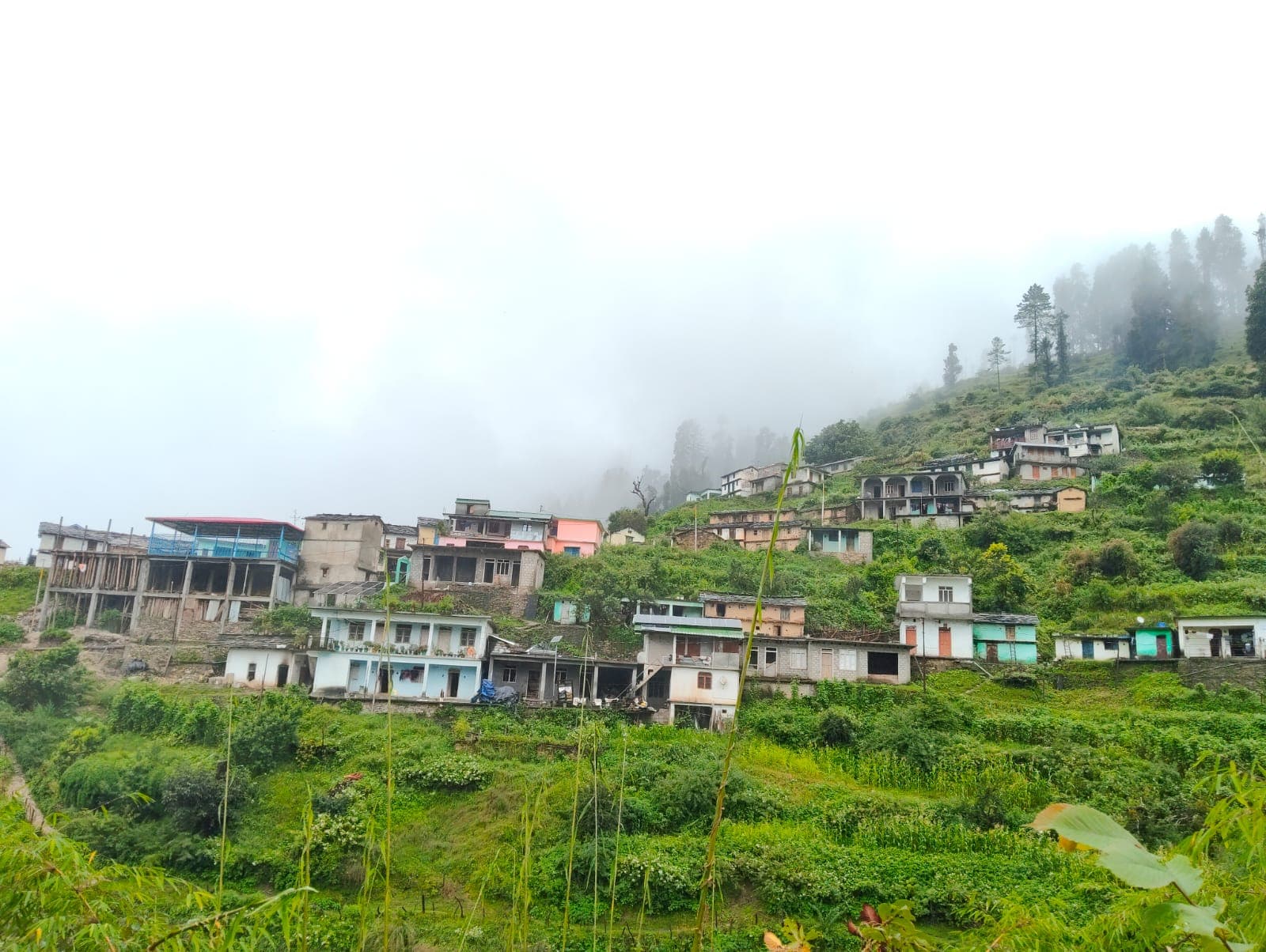 Stone and timber houses on a terraced hillside