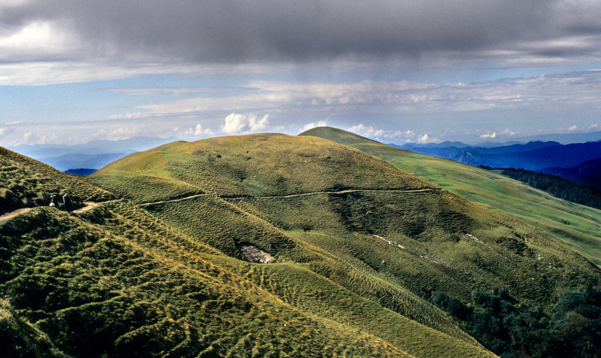The trail across rolling grassland from Bedni Bugyal towards Ali Bugyal