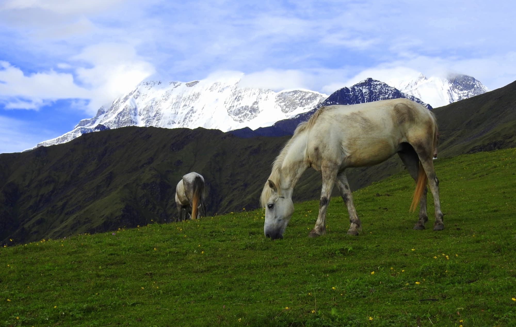 Trishul rising above the high meadows of the Roopkund region
