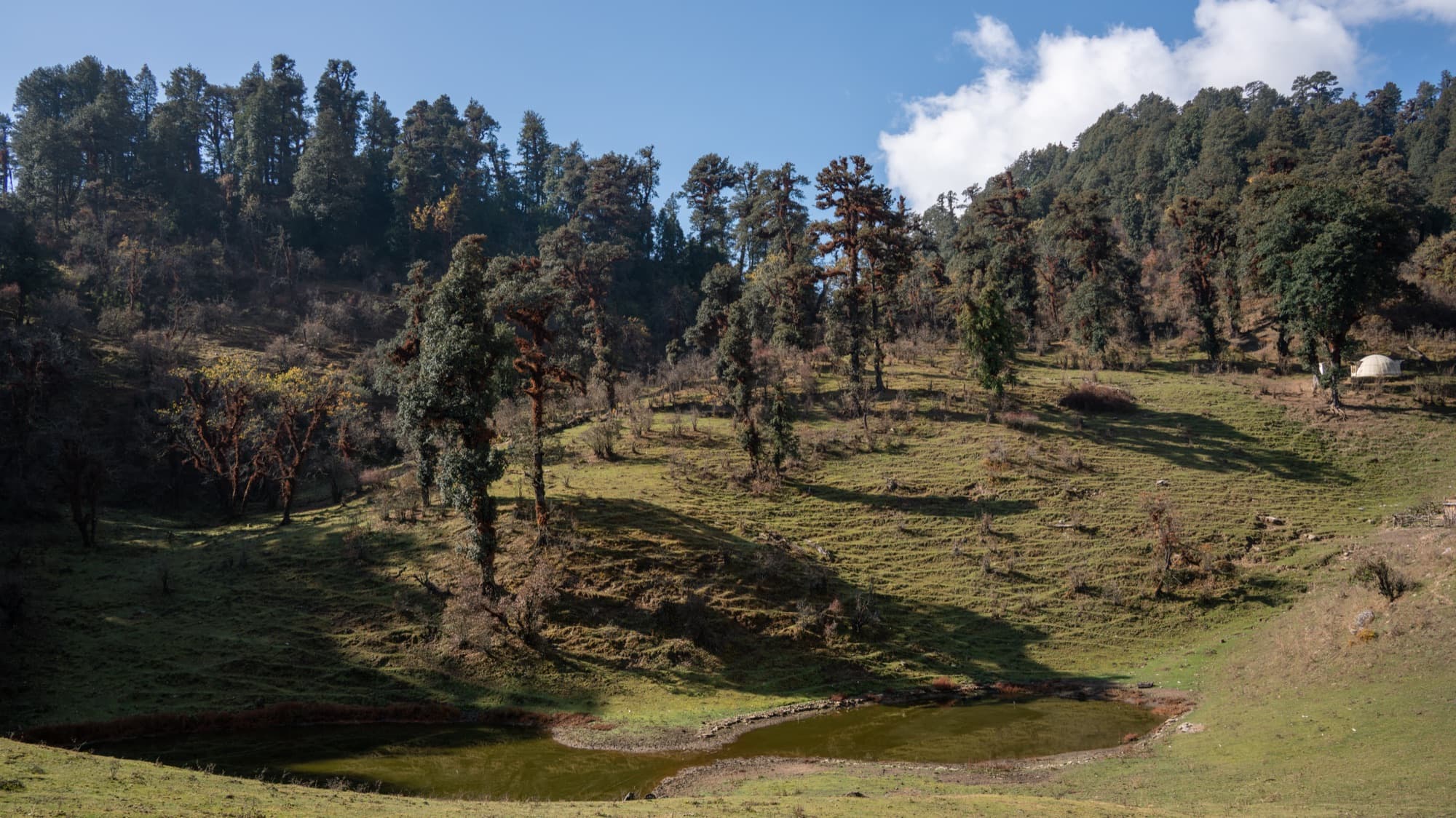 A forest pond at Gui camp on the way to Dayara Bugyal