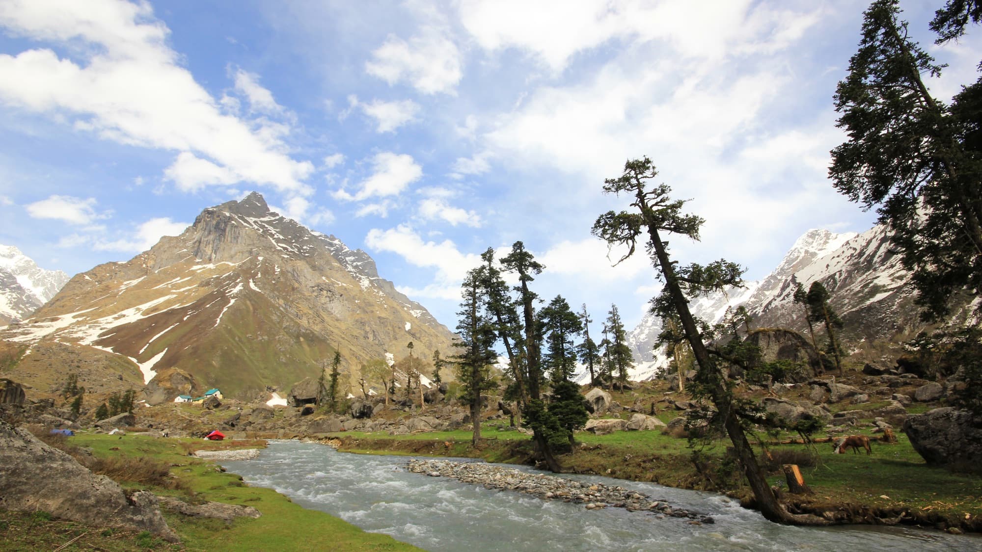 A stream winding through the Har Ki Dun meadow below snowy peaks