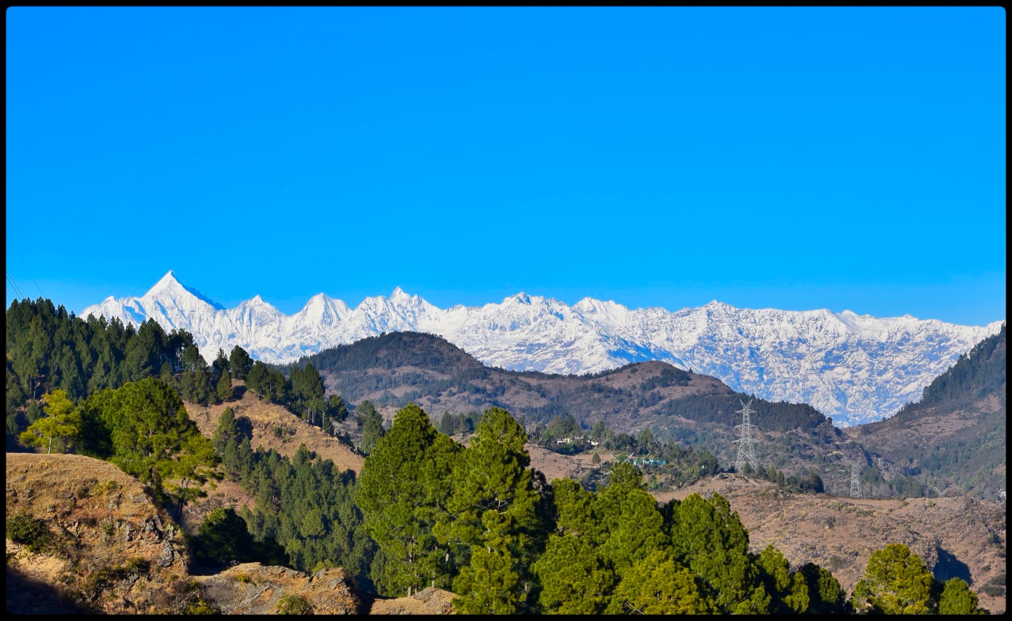 The five Panchachuli peaks above pine-covered hills