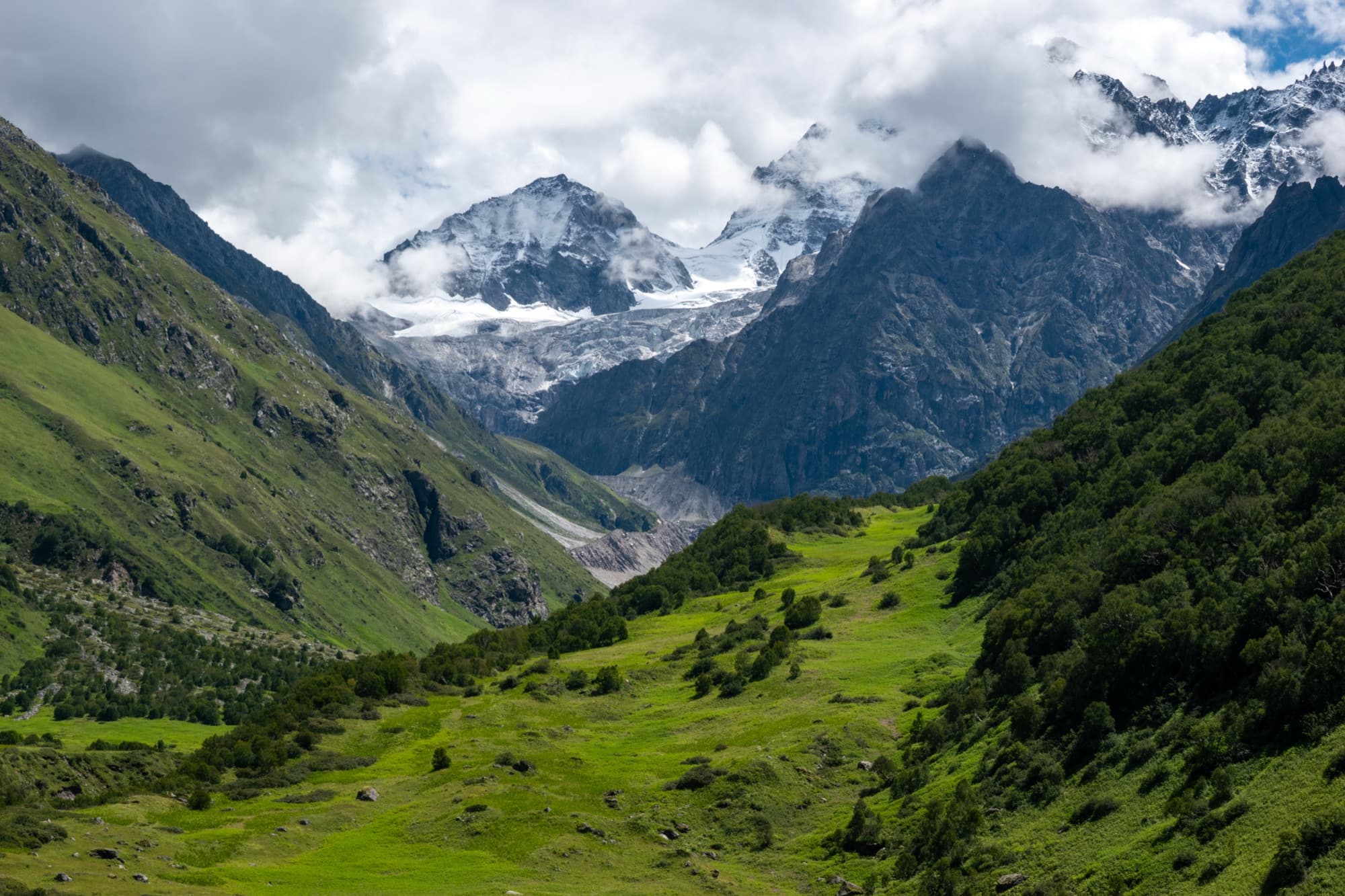 The Valley of Flowers meadow leading to glaciated peaks